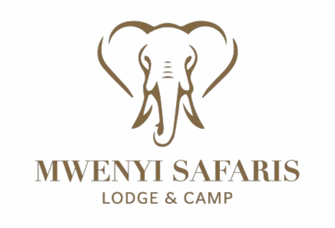 Mwenyi Safaris Logo